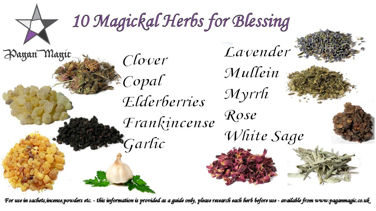 Magickal herbs book